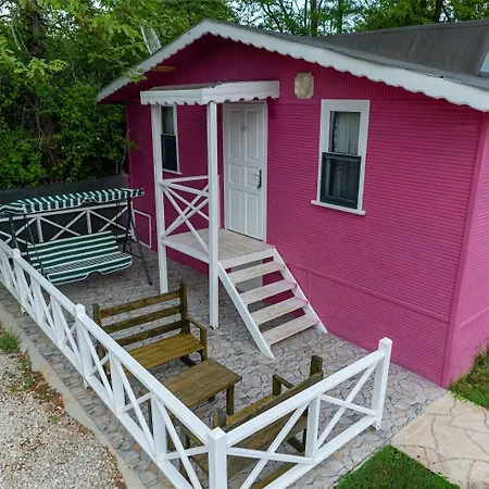 酒店 Shelale Ağva